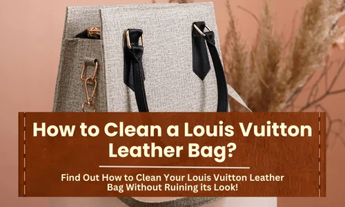 How to Clean a Louis Vuitton Leather Bag