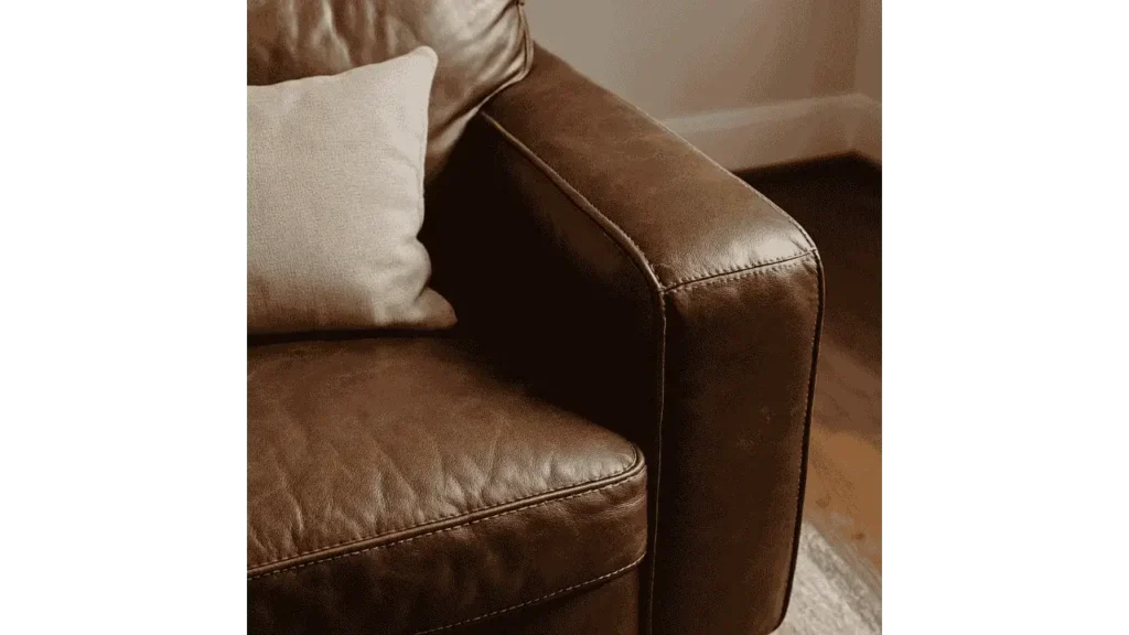 Can Fleas Live in a Leather Couch.