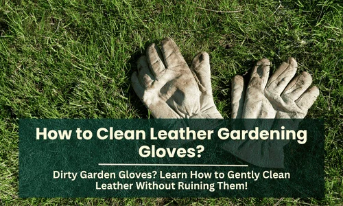 How to Clean Leather Gardening Gloves